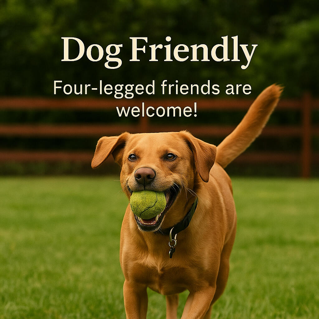 Snowdonia mountain views from The Mill Bank Retreat, Anglesey View of Snowdonia mountains from The Mill Bank Retreat holiday home in Anglesey, North Wales, perfect for family getaways and walking holidays.